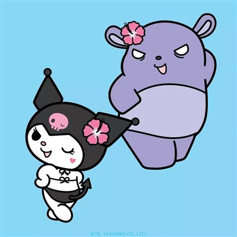 baku and kuromi|baku hello kitty.